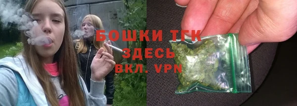 шишки Абинск