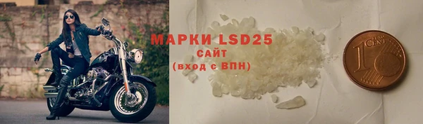 шишки Абинск