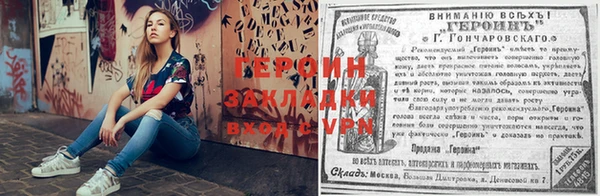 шишки Абинск