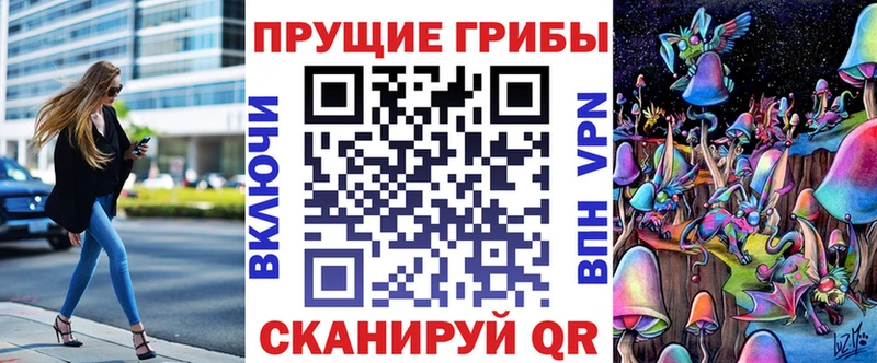 blacksprut зеркало  Отрадный  Галлюциногенные грибы Psilocybine cubensis 